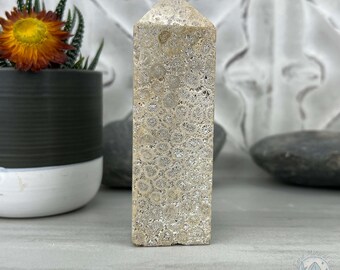 Coral Jade Aka Fossilized Actinocyathus Coral Tower - Etsy