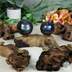 May include: Two iridescent blue labradorite spheres on a wooden display stand. The spheres are polished and have a unique, shimmering effect. The stand is made of natural driftwood and has a rustic, organic look.