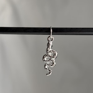 May include: A silver snake charm pendant hanging from a black cord. The snake is coiled and has a textured surface.
