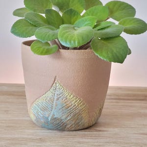 May include: A potted African violet plant with large, green, velvety leaves. The plant is in a beige ceramic pot with a leaf design in shades of blue and yellow. The pot sits on a wooden surface.