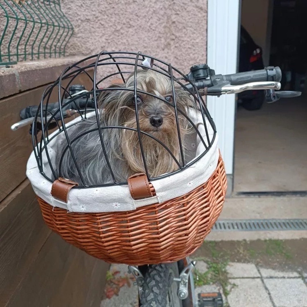 Wicker Rattan Bike Basket for Small Cats and Dogs Etsy