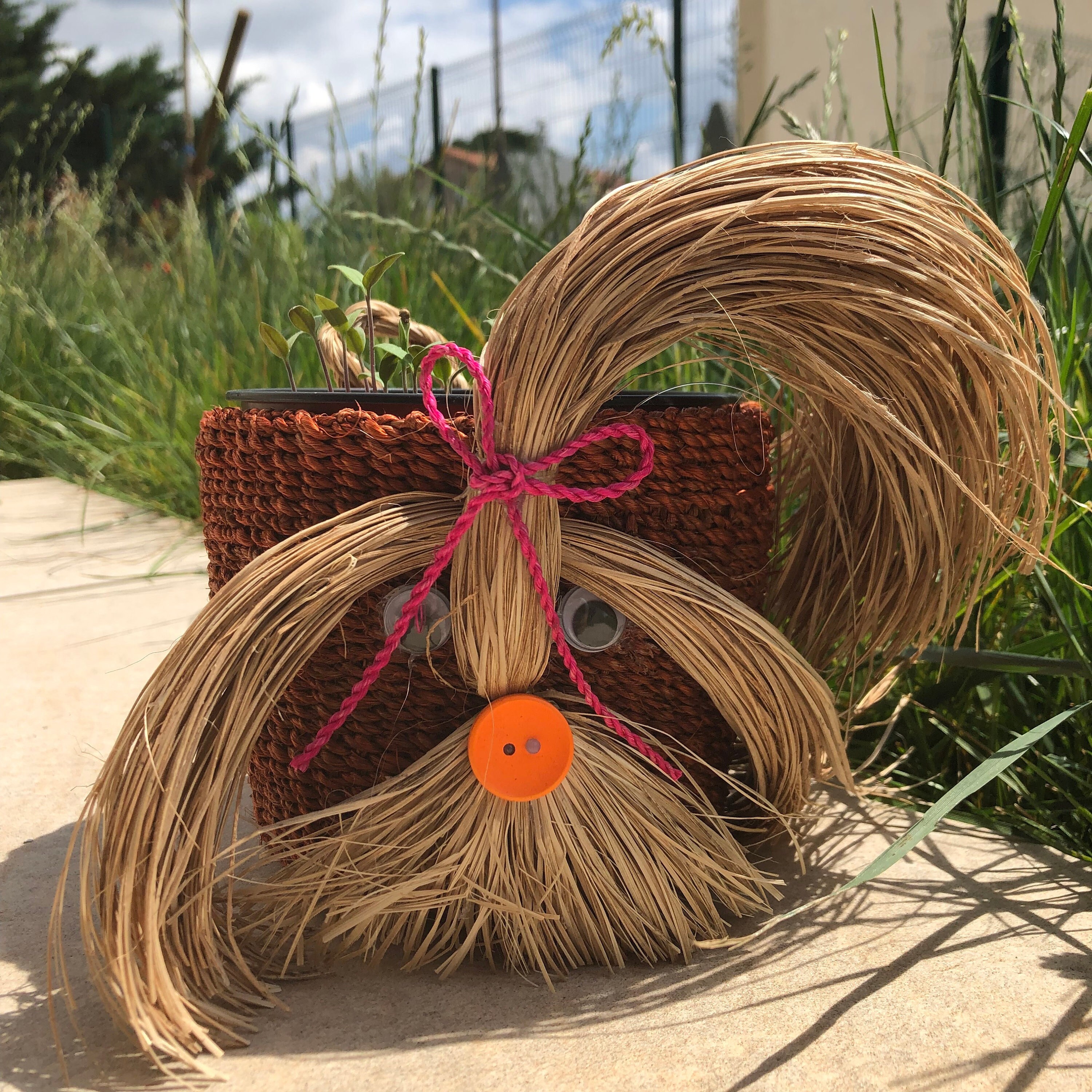 Mini Paniers de Pot Plantes Pour Chiens