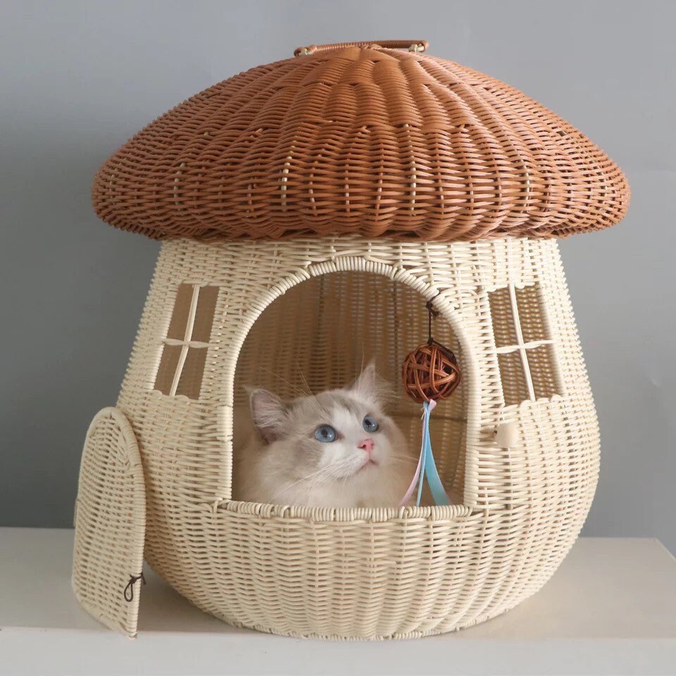 Grande Maison Pour Animaux