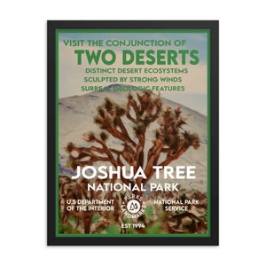 Joshua Tree National Park Poster (Framed) - WPA Style