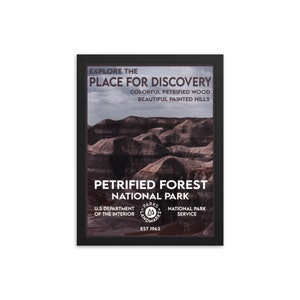 Petrified Forest National Park Poster (Framed) - WPA Style