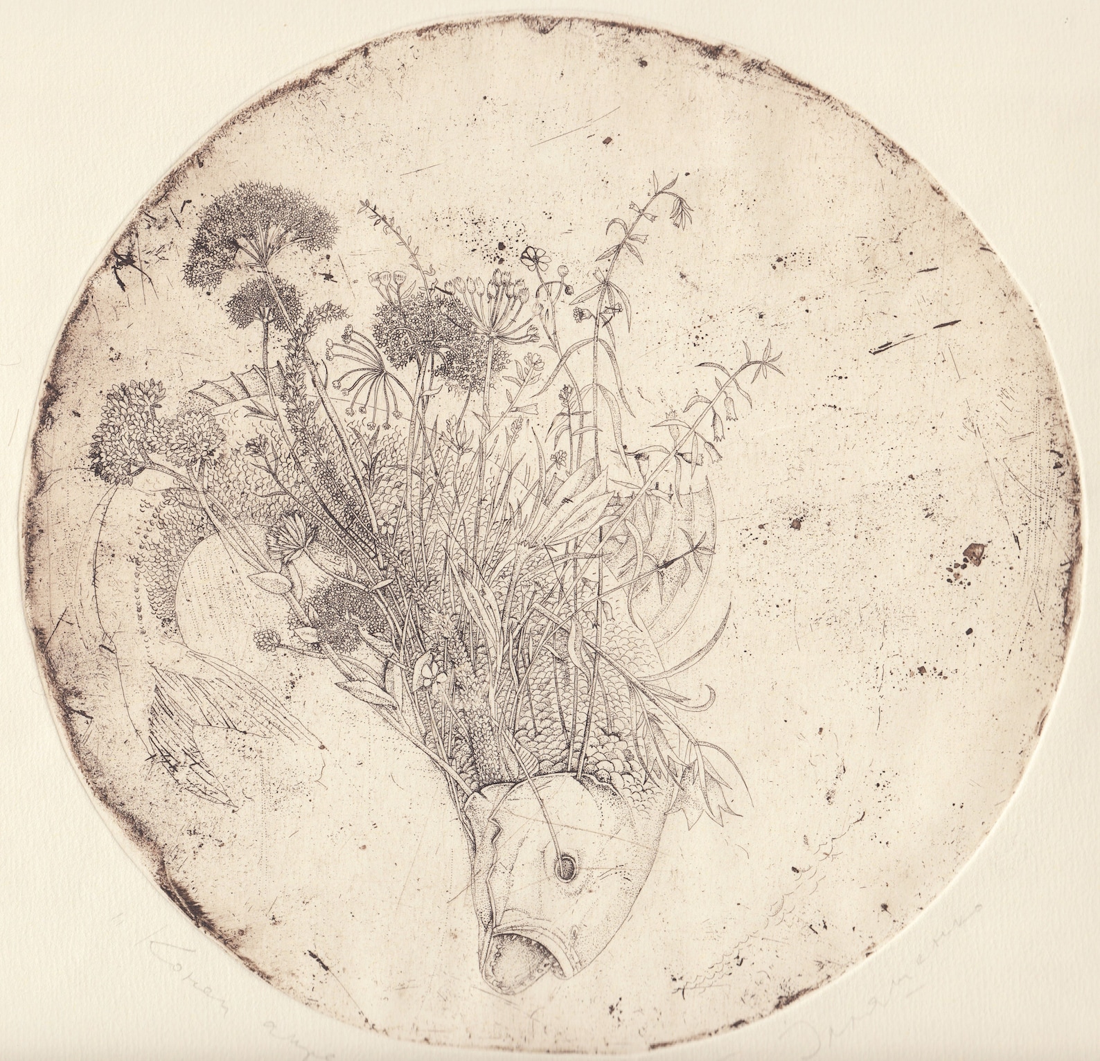 Detailed Intaglio Limited Edition Etching End of April, Art Print ...