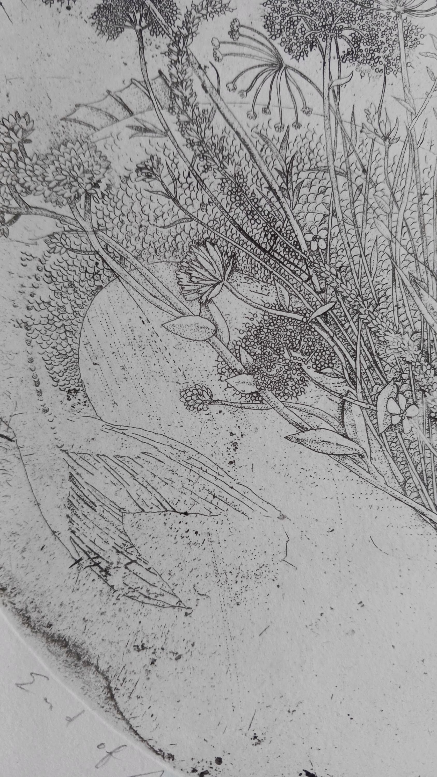 Detailed Intaglio Limited Edition Etching End of April, Art Print ...