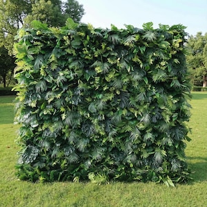 This lush, dense greenery backdrop features a mix of tropical foliage—including broad monstera leaves, delicate fern fronds, and feathery palm fronds—layered to create a vibrant, jungle-like texture. Varied shades of emerald and sage green add depth, while natural sunlight highlights the glossy, lifelike surfaces. The rich, verdant display evokes a fresh, exotic atmosphere, serving as a striking, organic focal point ideal for outdoor events or tropical-themed celebrations.