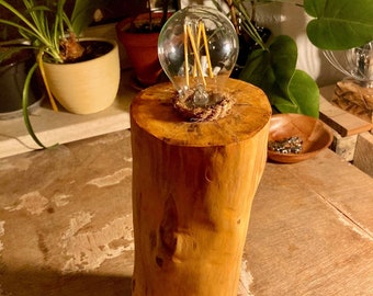 Handmade tree trunk lamp made of great driftwood