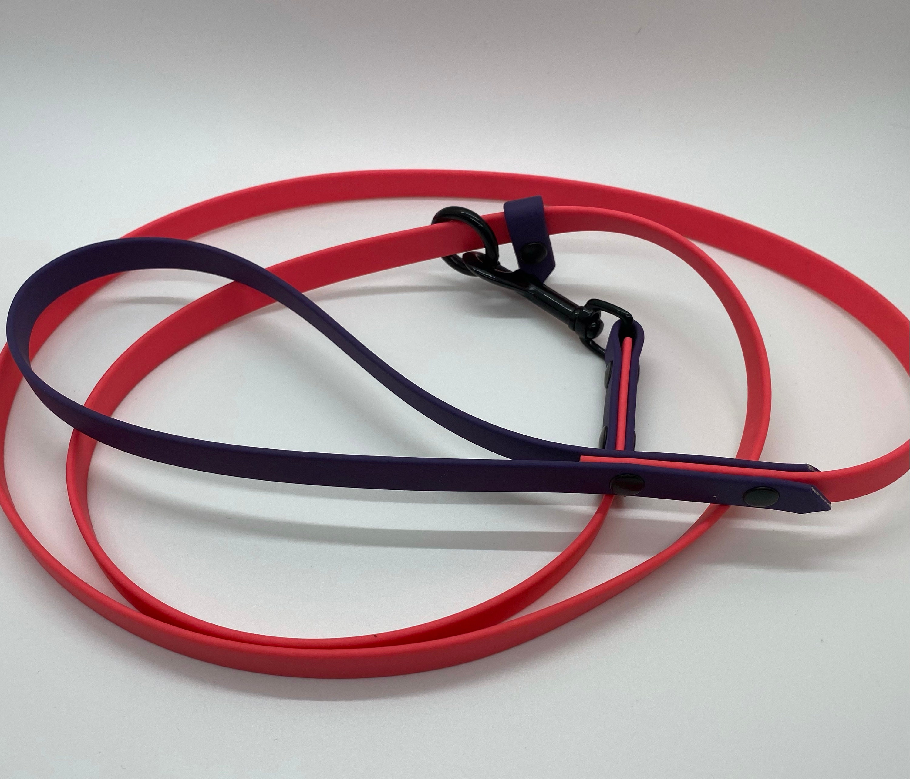 Biothane Slip Leash. Etsy Canada