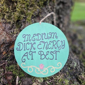 Letrero de madera quemada con energía de pene medio, pirograbado, decoración divertida, humor, comedia, meme, humor de Internet, cultura pop, regalo de broma