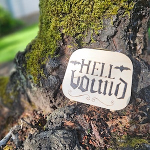 Hel gebonden hout verbrande koffervormige doos, pyrografie, heks decor, goth decor, spookachtig decor, donker decor, unieke juwelendoos, Snuisterijdoosje