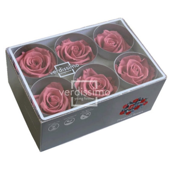 Boite de 6 Têtes Rose Éternelles Antique