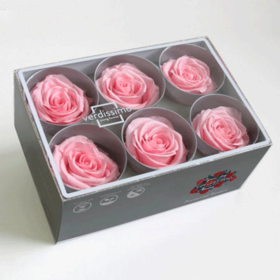 Boite de 6 Têtes Rose Éternelles Roses