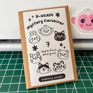 B-Grade Acrylic Carabiners | Cute Animal Keychain Clips (Imperfect Seconds) | Mystery Blind Bag