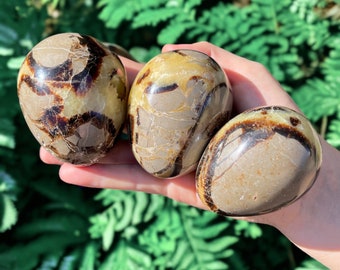 Septarian Crystal Egg Natural Dragons Egg Stone Choose your size