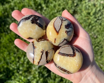 Grandes piedras de palma septaria
