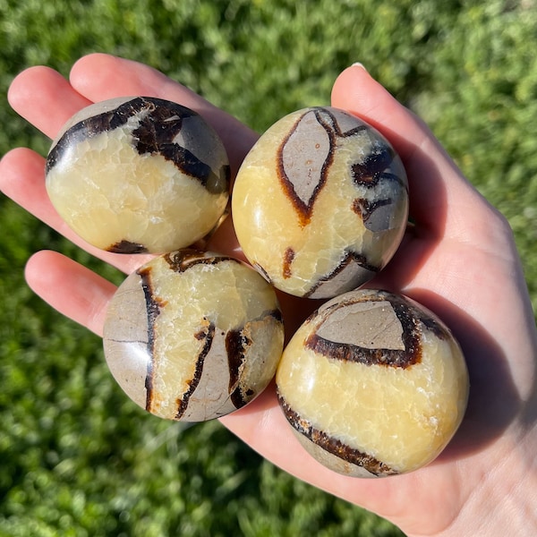 Large Septarian Palm Stones