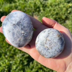 Large Dendritic Opal - Merlinite Natural Palm Stone