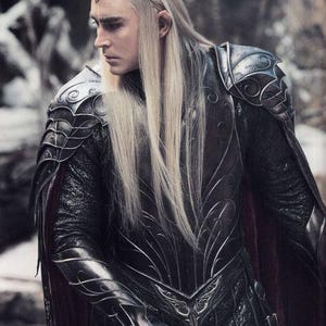 May include: A person in dark armor with silver accents, a silver crown, and long, flowing blonde hair. The armor features intricate designs and shoulder pads. A sword is held in the right hand. The background is a blurred outdoor scene.