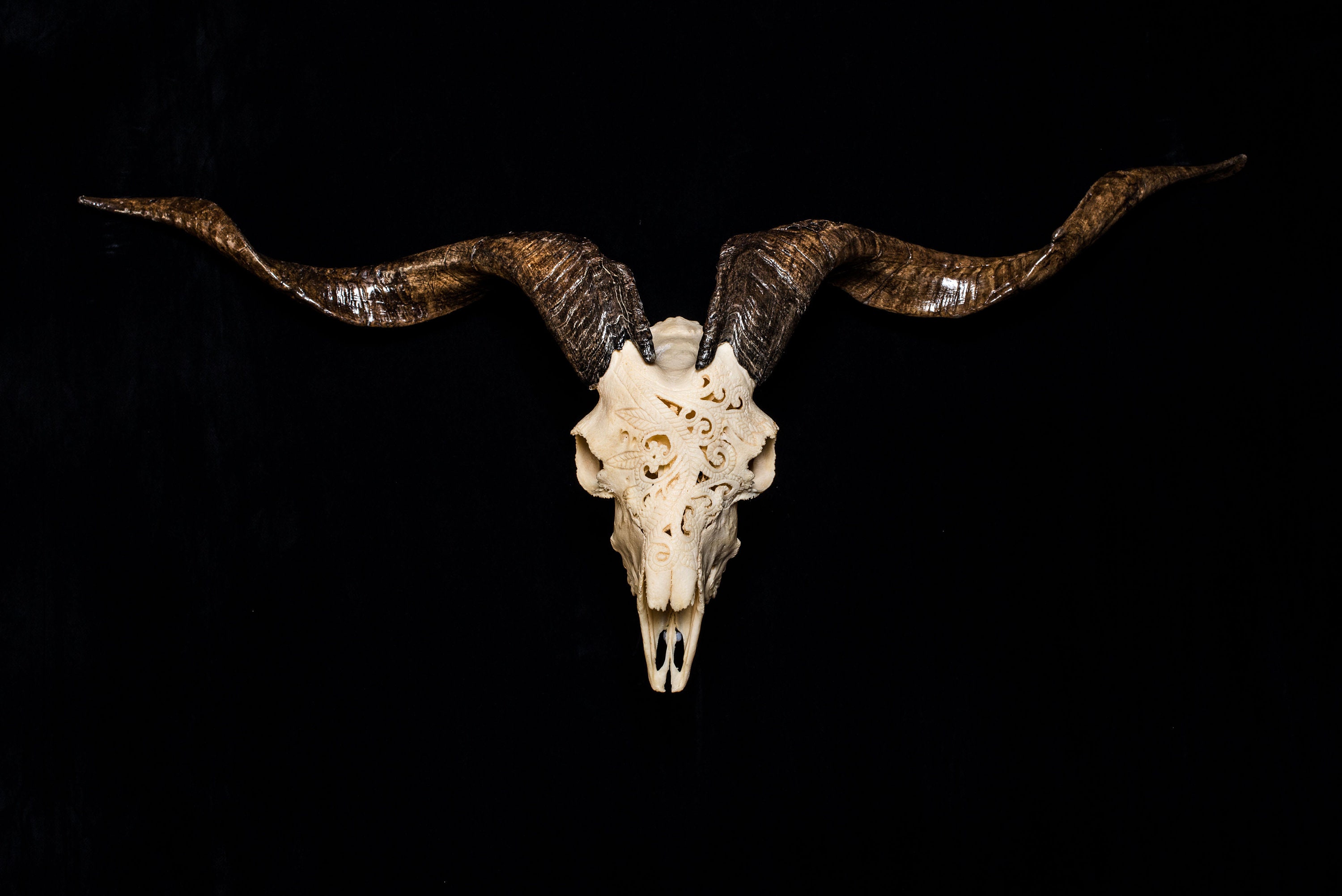 Carved Real Goat Skull SOUL22 ‘‘SOLD’’ | Etsy