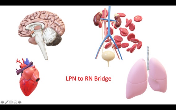 LPN to RN Bridge Program Studyguides - Etsy