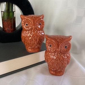 Owl Salt and Pepper Shaker Set - Retro Brown Boho Bohemian Owl Bird Salt and Pepper Shakers Kitsch Kitchen 1960s 1970s Style Decor