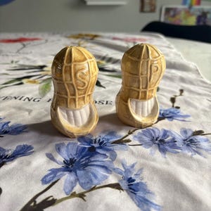 May include: A pair of peanut-shaped salt and pepper shakers with the letters "S" and "P" on them. The shakers are made of ceramic and have a brown and white glaze.