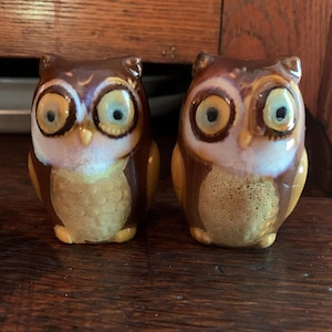 Vintage Ceramic Owl Salt and Pepper Shakers - Cute Owl Home Decor Vintage Owl Decor MCM Owls Ceramic Owl Shakers