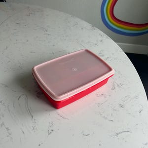 Divided Tupperware Container - Retro Kitchen Food Storage Container Nostalgic Kitchen Container Bento Box Style Tupperware Tuppercraft