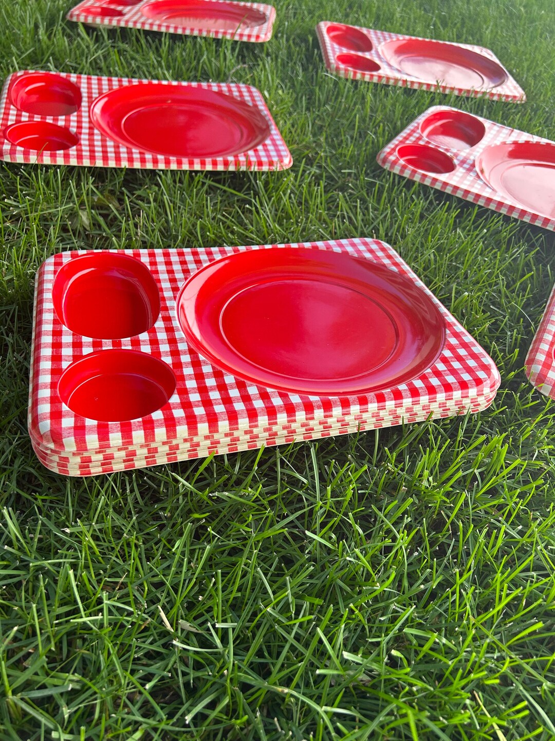 Vintage Picnic Trays Midcentury Plastic Food Tray Vintage Plastic Tray