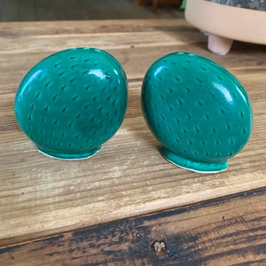 Cactus Salt and Pepper Shakers- Funky Ceramic Cactus Succulent Cacti Salt and Pepper Set Southwest Desert Kitchen Decor