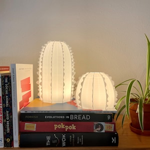 Barrel Cactus Lamp Geometric Orb Lamp Desert-Themed Lighting Succulent-Inspired Bedside Lamp Ambient Nightlight Modern Nature-Inspired Decor