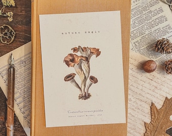 Vintage Mushroom Postcard by Indoora World | Przytulne jesienne artykuły piśmiennicze | Cottagecore, Dark Academia - karty sezonowe, pocztówki jesienne Pen Pal