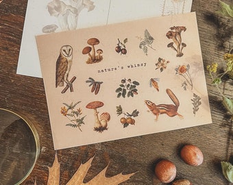 Nature's Whimsy: Vintage Forest Postcard firmy Indoora World | Przytulne artykuły piśmiennicze na jesień | Cottagecore, Las, Vintage Botanical, Pen Pal Fall