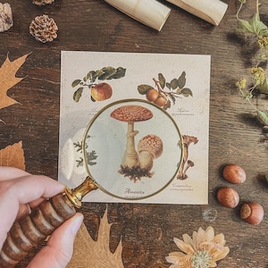 impression/carte botanique vintage par Indoora World | Papeterie d'automne douillette | Cottagecore, Cartes saisonnières, Cartes postales d'automne Pen Pal, Décoration d'intérieur