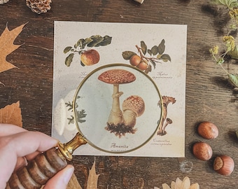 Vintage Botanical Print/Card by Indoora World | Przytulne jesienne artykuły piśmiennicze | Cottagecore, Karty sezonowe, Pocztówki jesienne Pen Pal, Wystrój domu