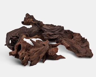 Bois de mopani naturel | Tourbière des tourbières | Bois flotté | Décoration de terrarium | Décoration d'aquarium