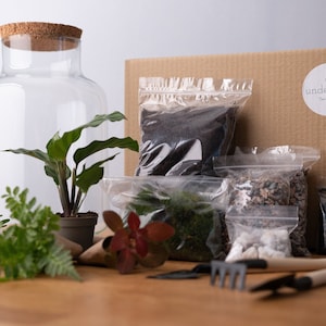 Terrarium Kit - With Plants