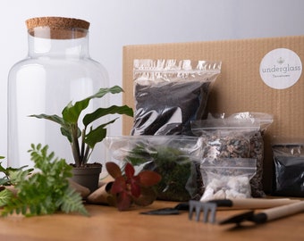 Terrarium Kit - With Plants