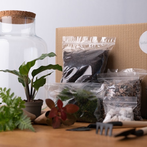Terrarium Kit With Plants Etsy UK