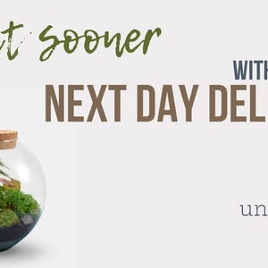 Peut inclure: Obtenez-le plus t&ocirc;t avec la livraison gratuite le lendemain. Un terrarium en verre avec un couvercle en li&egrave;ge rempli de mousse verte, de plantes et de pierres. Underglass Terrariums.