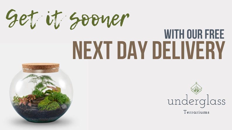 Peut inclure: Obtenez-le plus t&ocirc;t avec la livraison gratuite le lendemain. Un terrarium en verre avec un couvercle en li&egrave;ge rempli de mousse verte, de plantes et de pierres. Underglass Terrariums.
