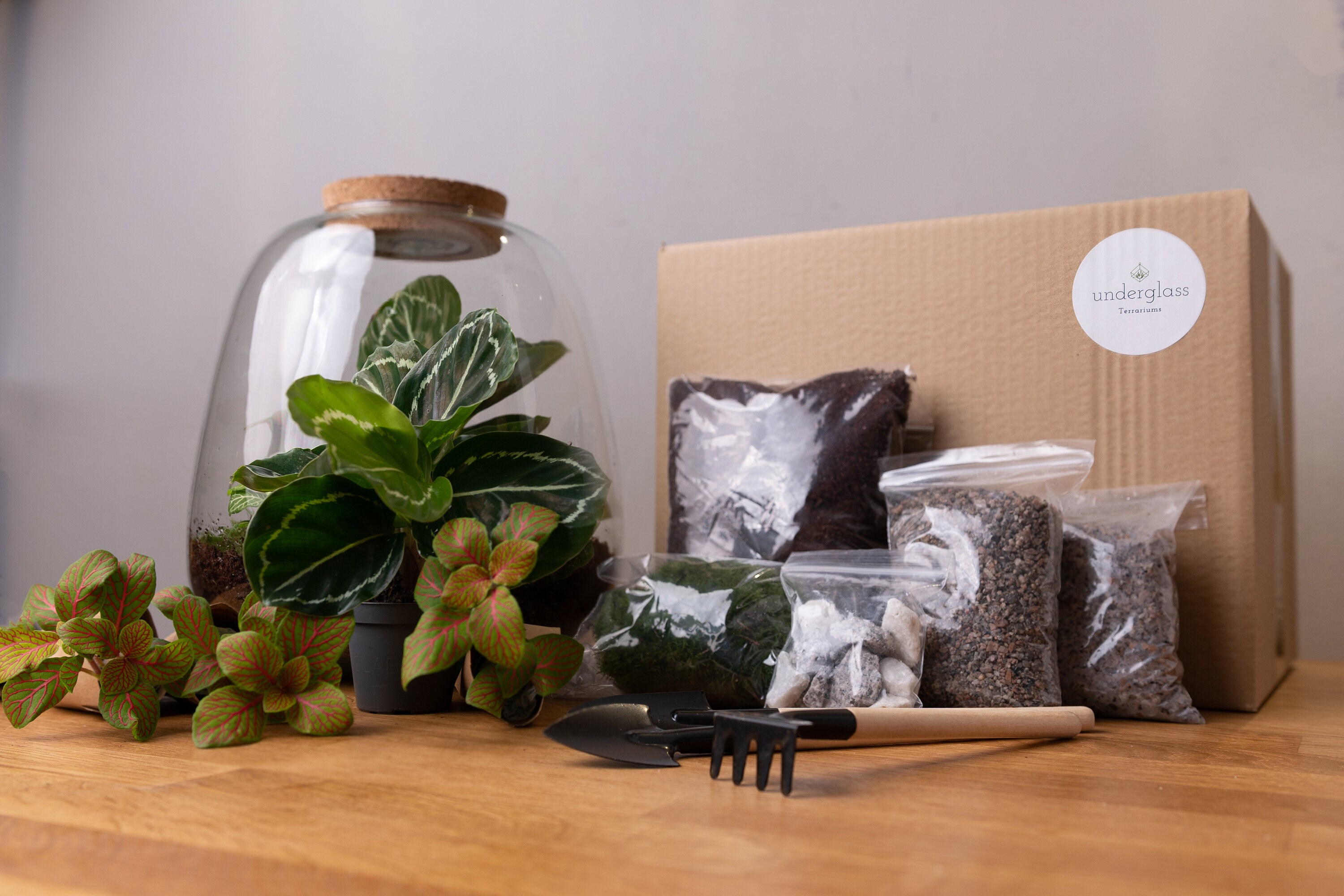 Large Terrarium Kit No Plants Etsy UK