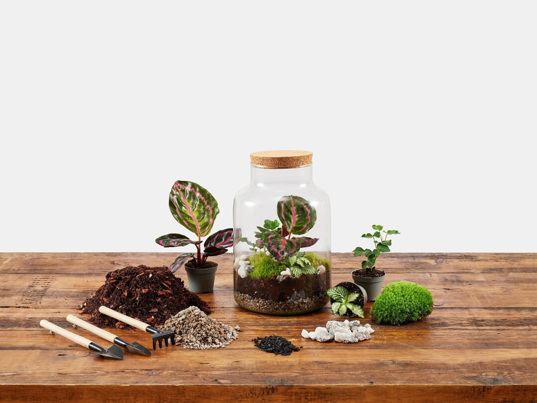 Terrarium Kit No Plants - Etsy UK