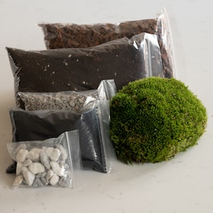 DIY Terrarium Starter Pack | Soil, Gravel, Charcoal, Stones