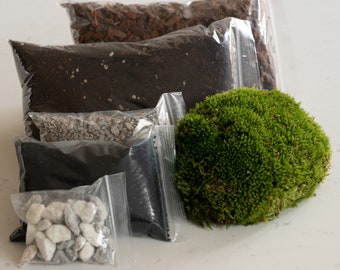 Pack de démarrage pour terrarium bricolage | Terre, gravier, charbon de bois, pierres