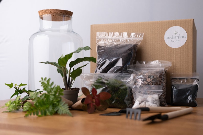 Peut inclure: Un kit de terrarium avec un bocal en verre transparent, une bo&icirc;te en carton marron avec le texte "underglass Terrariums" et divers sachets de terre, de pierres et de mousse.