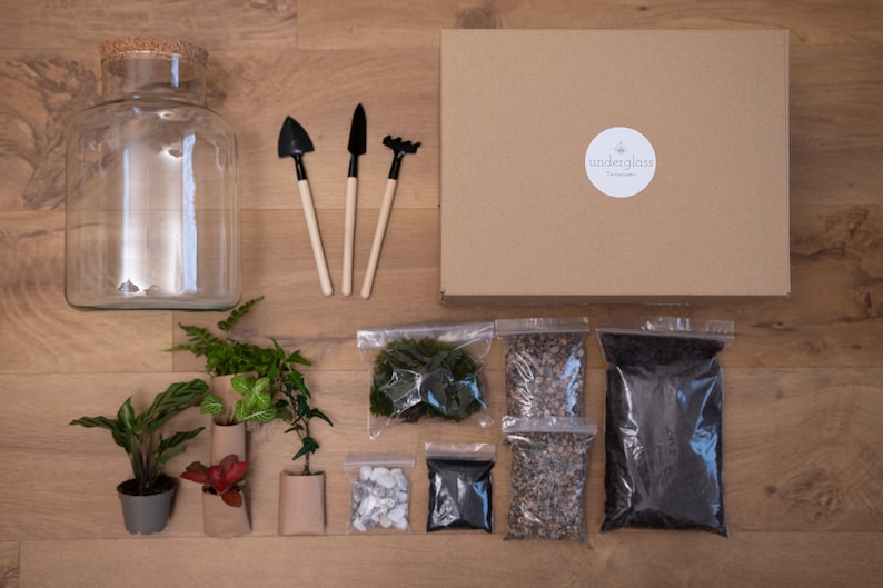 Peut inclure: Kit de terrarium avec un bocal en verre transparent, une bo&icirc;te portant l'inscription "underglass terrariums" et divers composants, dont de la terre, des pierres, de la mousse et des plantes dans des sacs en papier brun.