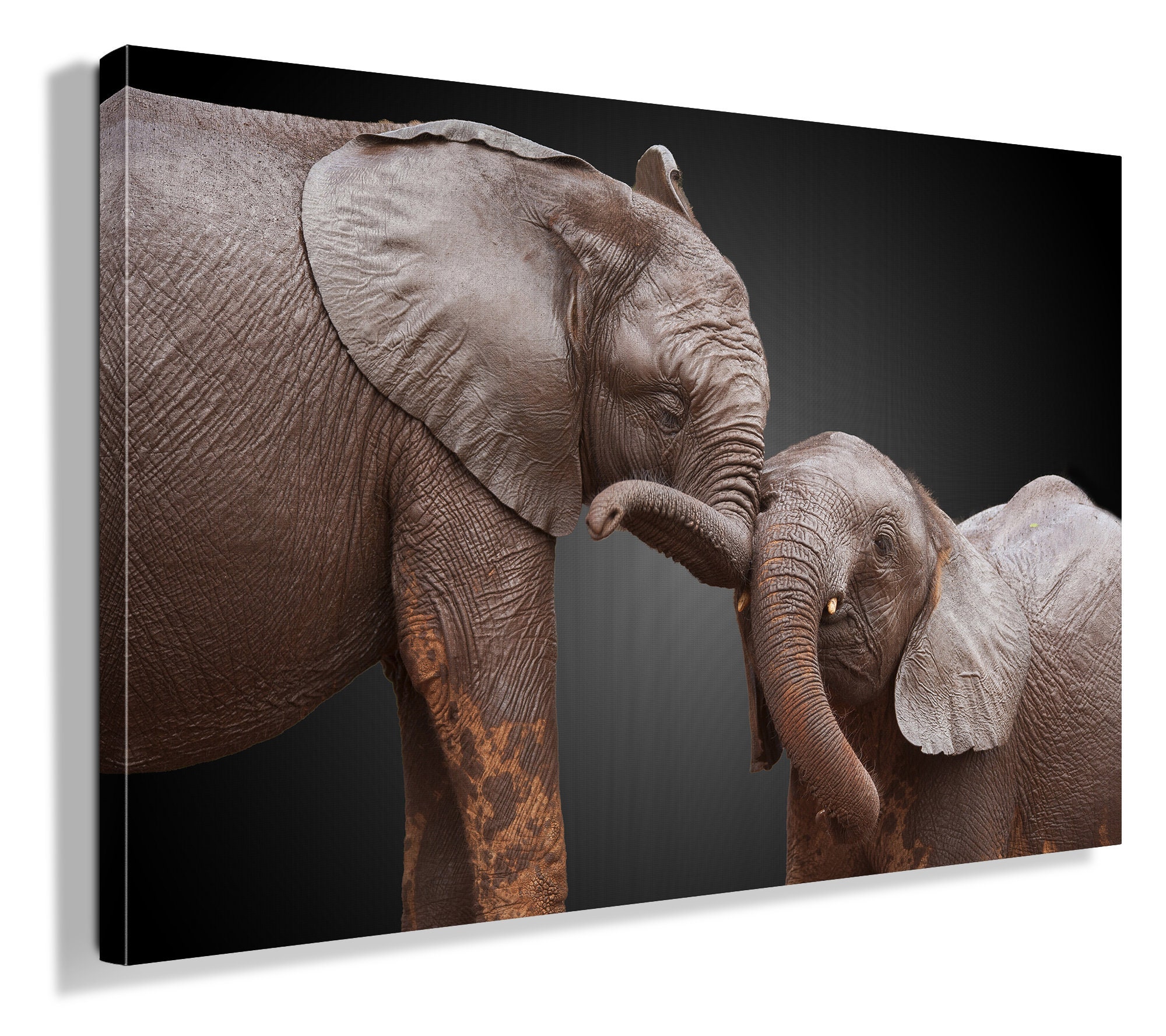 Elephant canvas Print Black and White Grey Elephants Living Etsy
